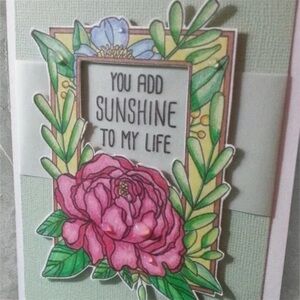 🆕Designer Catherine Scanlon Rose Frame Stamp Set